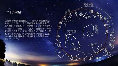 廿八星宿|二十八星宿（中国古代天文学名词）